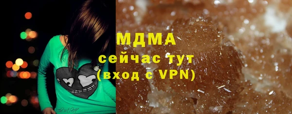 индика Лабытнанги