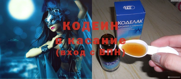 индика Лабытнанги