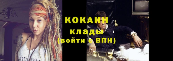 индика Лабытнанги