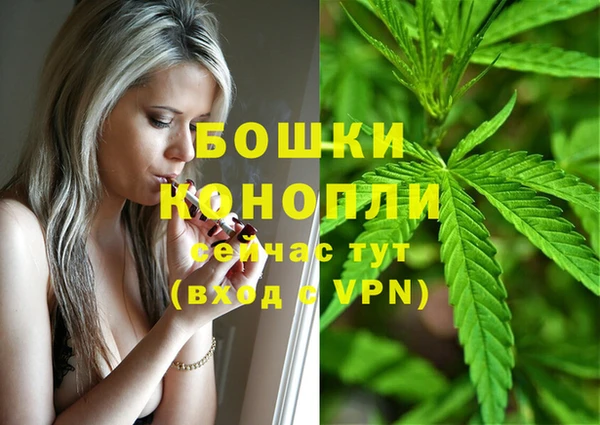 индика Лабытнанги
