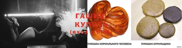 индика Лабытнанги