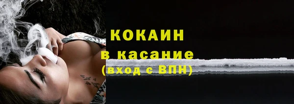 индика Лабытнанги