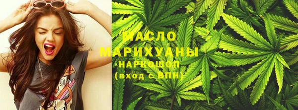 индика Лабытнанги
