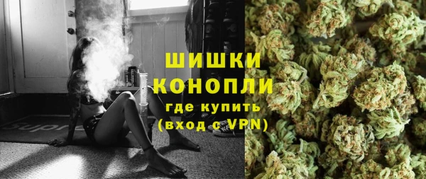 индика Лабытнанги