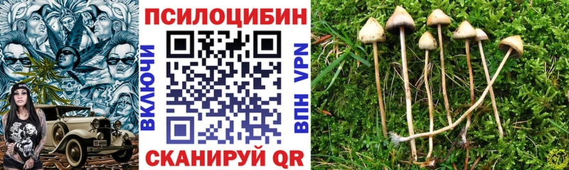 Псилоцибиновые грибы ЛСД  что такое   блэк спрут tor  Новошахтинск 