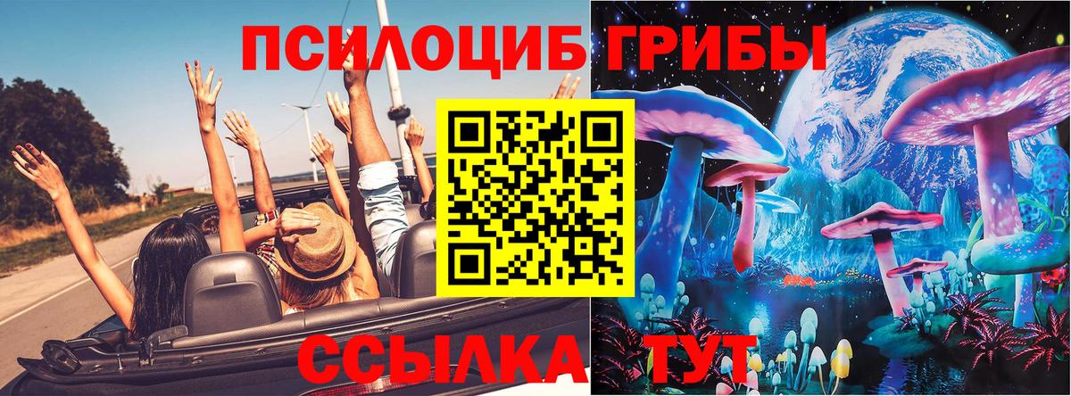Новошахтинск  Псилоцибиновые грибы MAGIC MUSHROOMS  Вход с VPN  Псилоцибиновые грибы Magic Shrooms 